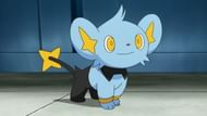Shinx (Image via The Pokemon Company)
